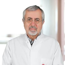 Prof.Dr. Dursun Kırbaş