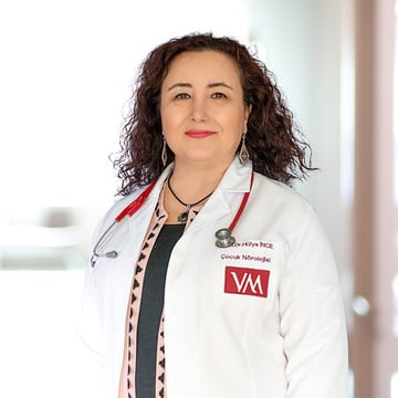 Doç.Dr. Hülya İnce