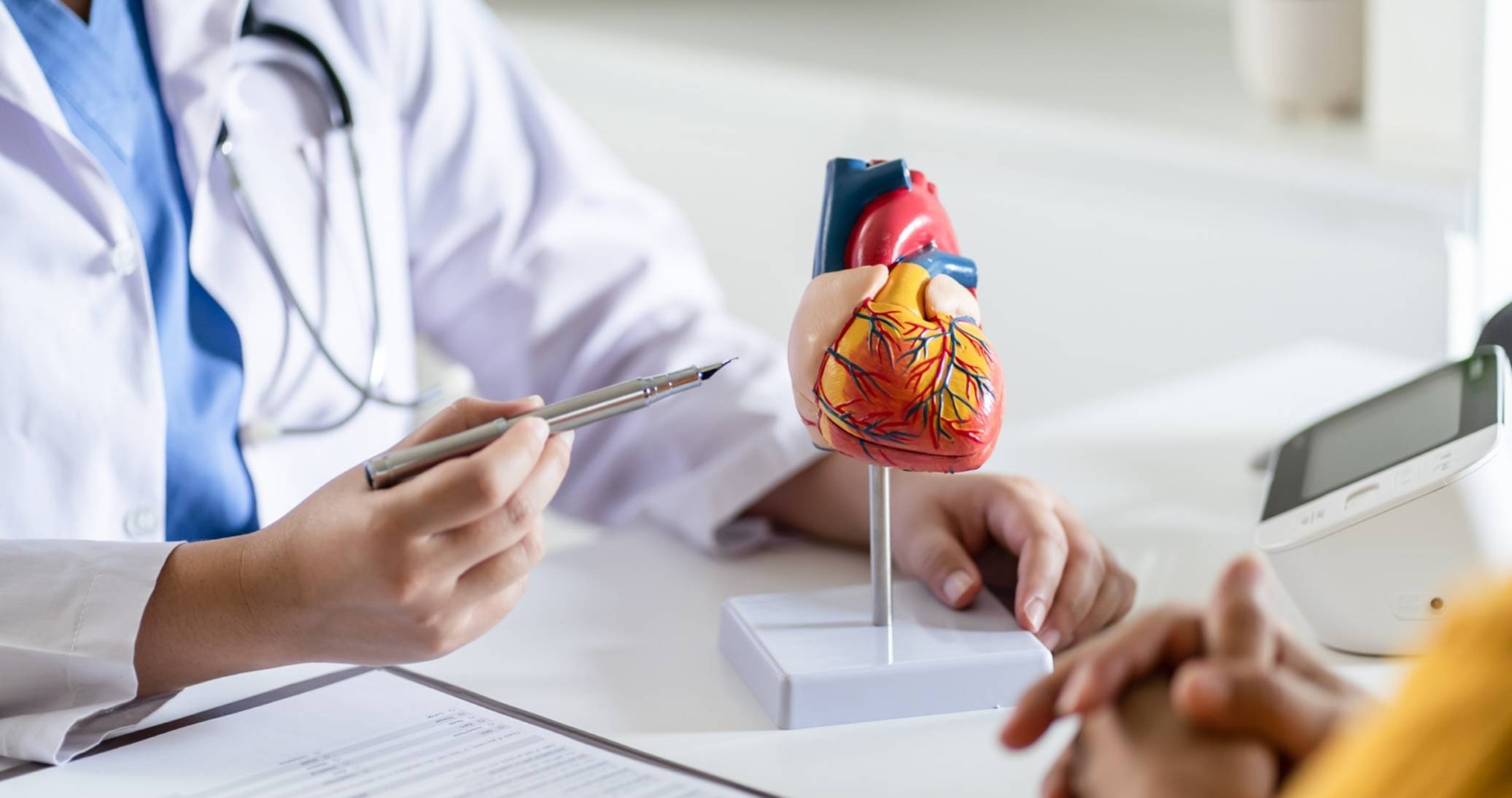 Cardiology Specialist Examination at Home