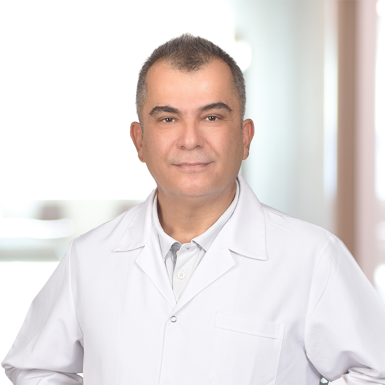 Ahmet Levent Başaran