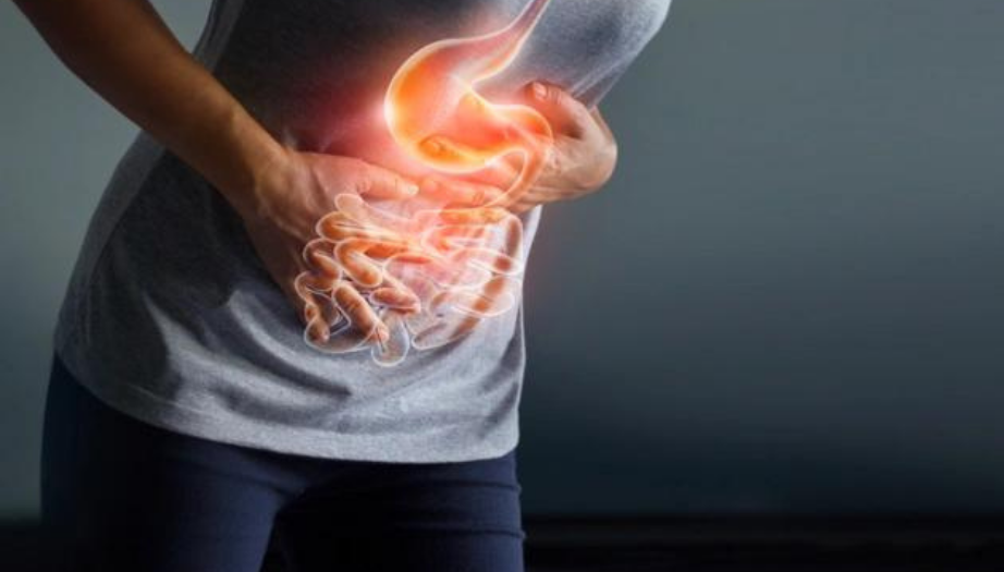 Mide Nedir? Midenin Yapısı ve Görevleri