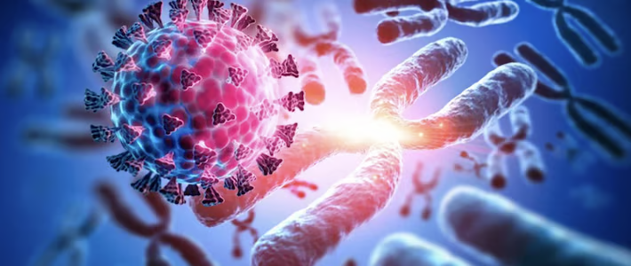 İntadermal Eksozom Paketi