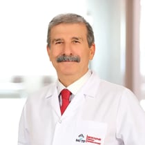 Prof.Dr. Mehmet Parlak