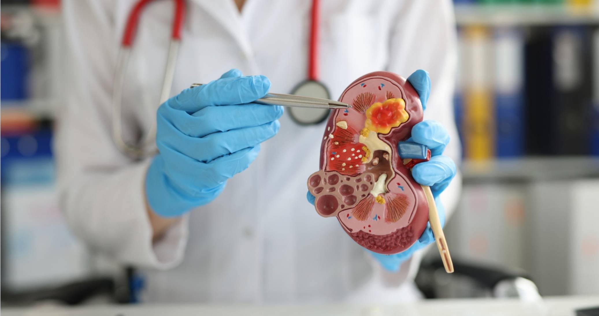 Urology Specialist Examination at Home