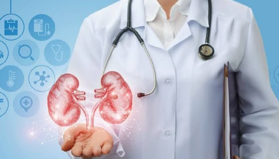 İdrar Yolu Enfeksiyonu Nedir? Belirtileri, Nedenleri, Tedavi Yöntemleri Ve Koruyucu Önlemler