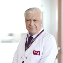 Prof.Dr. Arif Kökçü
