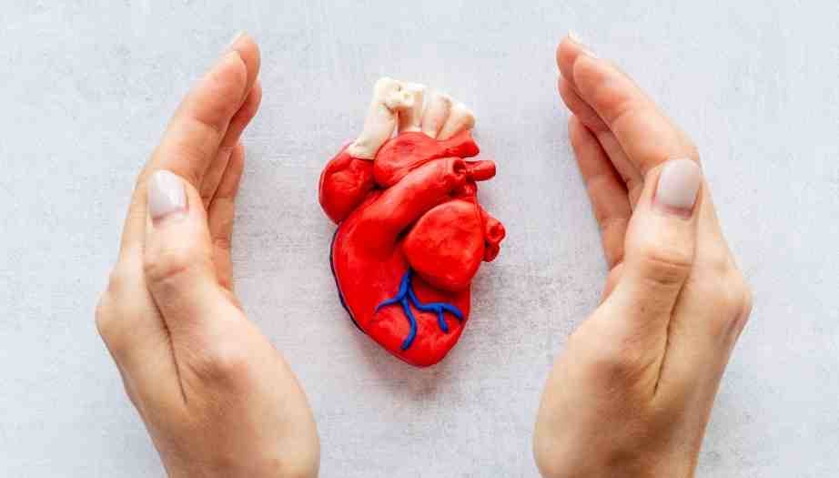 Aile Geçmişinde Kalp Hastalığı Olanlar Hangi Check-Up Testlerini Atlamamalı?