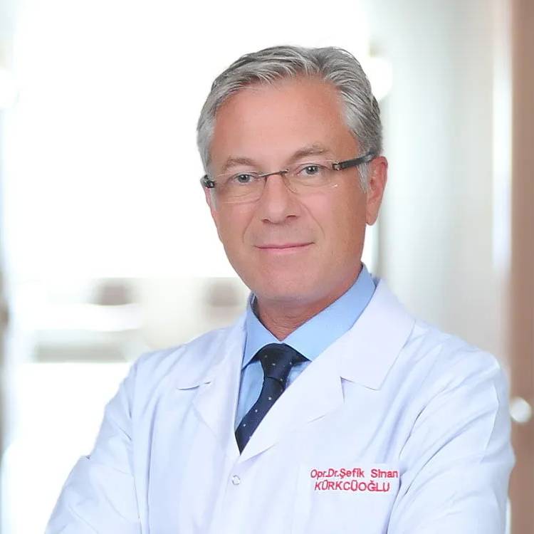 Şefik Sinan Kürkçüoğlu