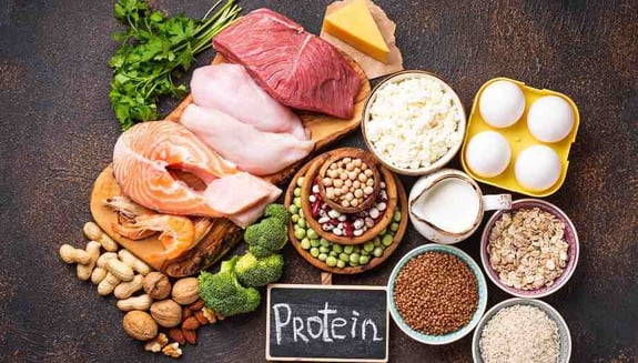 günlük protein ihtiyacı, protein ihtiyacı ne kadar, protein kaynakları, protein eksikliği, aşırı protein alımı, protein tozu, dengeli diyet, sağlıklı beslenme, bitkisel protein, hayvansal protein