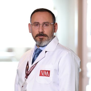 Dr.Öğr.Üyesi İbrahim Barış Okumuş