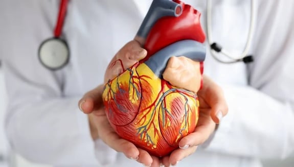 ASD, atriyal septal defekt, ASD belirtileri, ASD tedavisi, ASD tipleri, ASD tanı yöntemleri, ​​asd nedir, asd nedir tıp, asd ameliyatı olanlar yorumları, asd hastalarının dikkat etmesi gerekenler, asd ne demek, atrial septal defekt, atrial septal defekt komplikasyonları, atrial septal defekt belirtileri, atrial septal defekt nedir, ameliyatsız atrial septal defekt kapatma, asd atrial septal defekt ameliyatı, asd atrial septal defekt nedir, atrial septal defekt asd