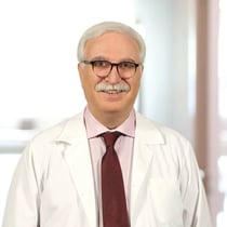 Prof.Dr. Tevfik Özlü