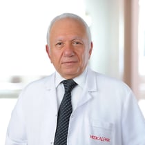 Prof.Dr. Güner Kemal Özgür