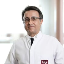 Prof.Dr. Murat Gül