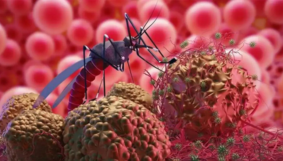 Batı Nil virüsü, Batı Nil virüsü nedir, Batı Nil virüsü belirtileri, Batı Nil virüsü bulaşma yolları, Batı Nil virüsü tedavisi, Batı Nil virüsü korunma, Batı Nil hastalığı, sivrisinek hastalıkları, Flaviviridae virüsleri, tropikal hastalıklar, Batı Nil virüsü aşısı, Batı Nil virüsü komplikasyonları, ensefalit, menenjit, sivrisinek önlemleri, viral enfeksiyonlar, yaz hastalıkları, bağışıklık sistemi hastalıkları