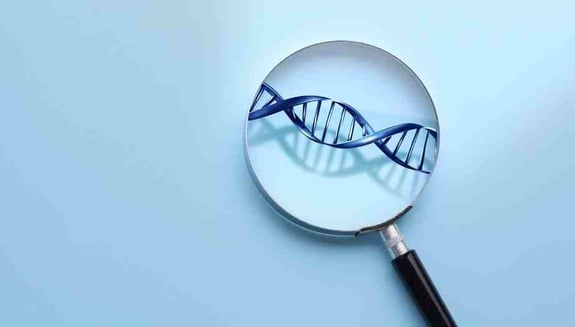 genetik check-up, genetik analiz, genetik test, kalıtsal hastalık riski, kanser riski, genetik danışmanlık, online genetik check-up danışmanlığı, happ health