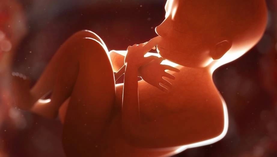 anne karnında bebeğe hastalık tanısı, prenatal tanı, gebelikte hastalık teşhisi, fetal tarama testleri, genetik bozukluk testi, ultrasonografi, fetal MR, kromozom anomalisi, gebelikte erken teşhis, doğum öncesi tanı, tarama ve tanı testleri, genetik hastalıklar, yapısal anomaliler, prenatal sağlık kontrolleri, bebek gelişim izlemi