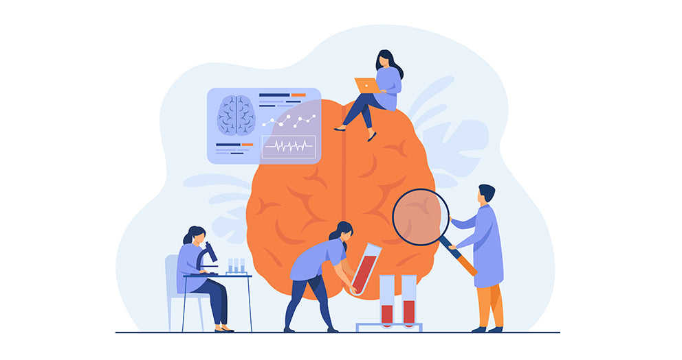 epilepsi, epilepsi tanısı, epilepsi tedavisi, nöbetler, EEG, MRG, ilaç tedavisi, cerrahi tedavi, ketojenik diyet, nörostimülasyon, vagus sinir stimülasyonu