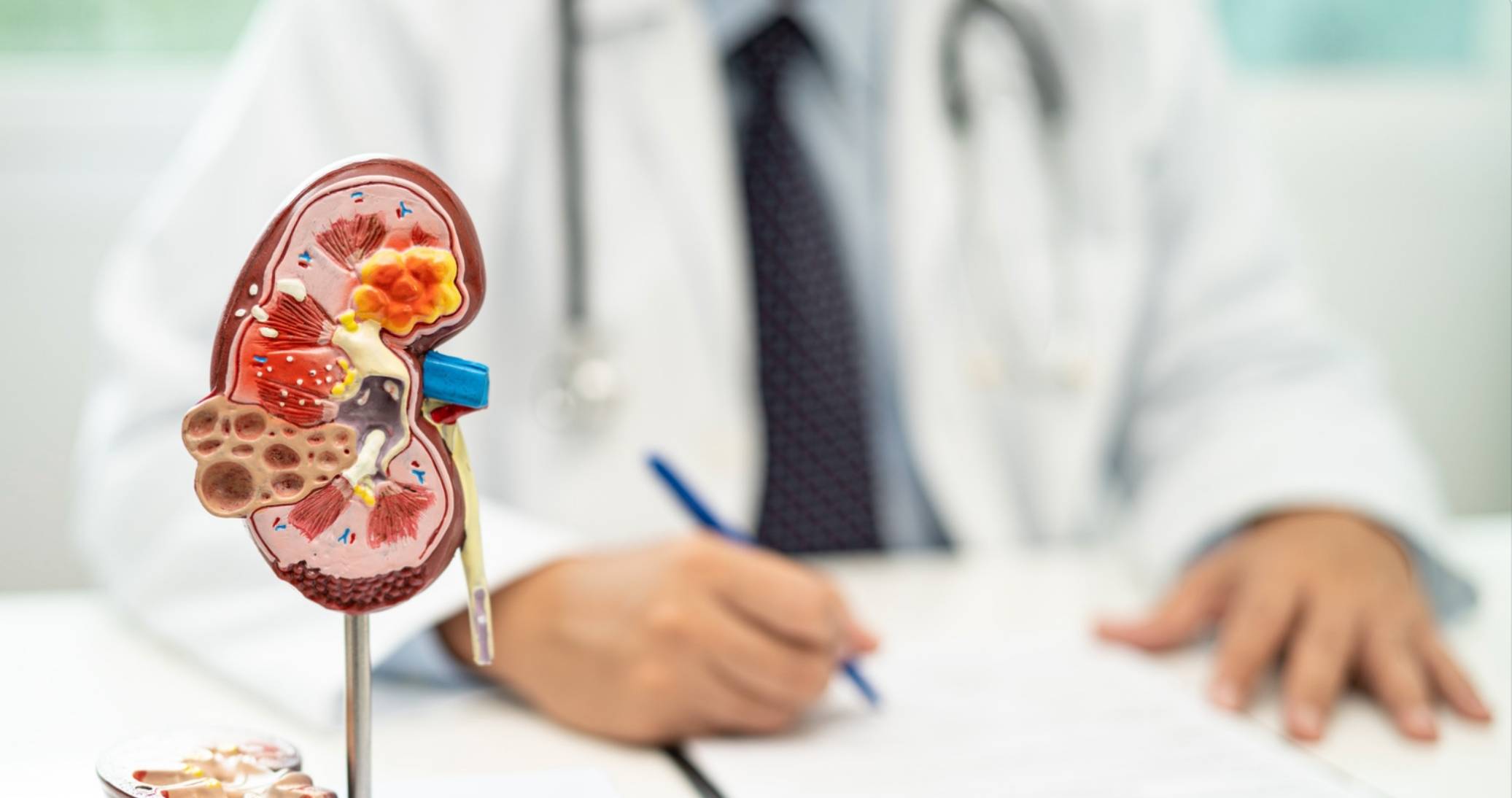 Nephrology Specialist Examination at Home