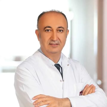 Prof.Dr. Mehmet Tokmak