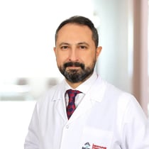 Prof.Dr. Tolga Taşçı