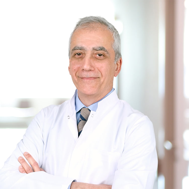 Benan Niku Çağlayan