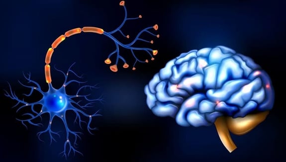 Epilepsi Nedenleri ve Belirtileri