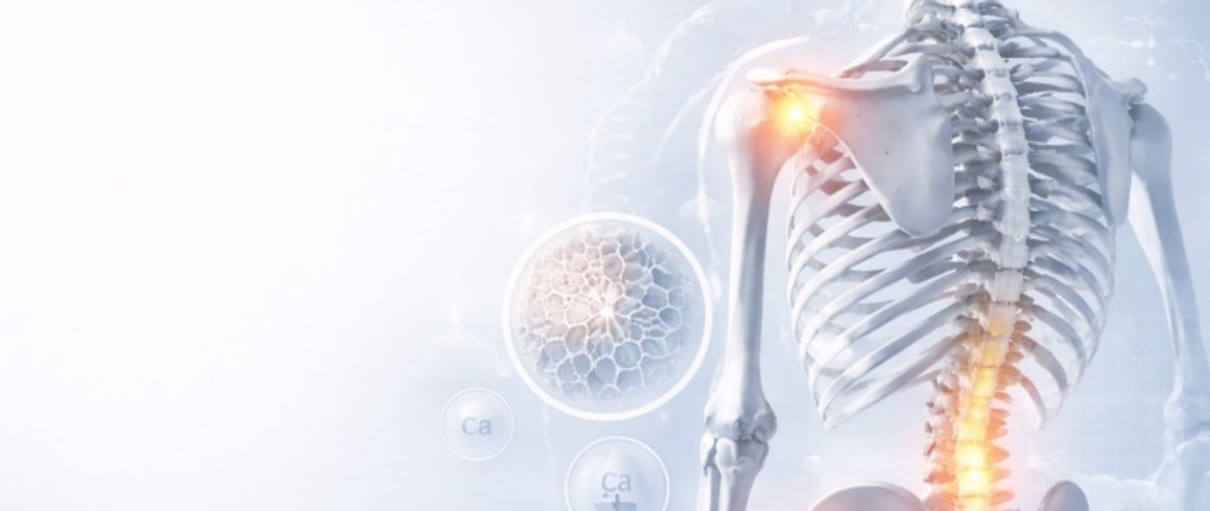 Bone Health Screening Checkup