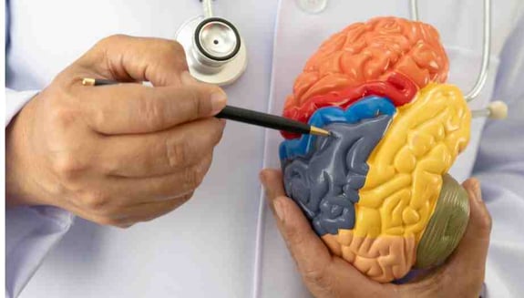 check-up, nöroloji, check-up sonucu, baş ağrısı, unutkanlık, uyuşma, baş dönmesi, denge bozukluğu, B12 eksikliği, beyin sağlığı