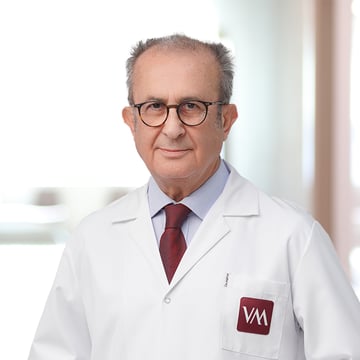 Prof.Dr. Mecit Süerdem