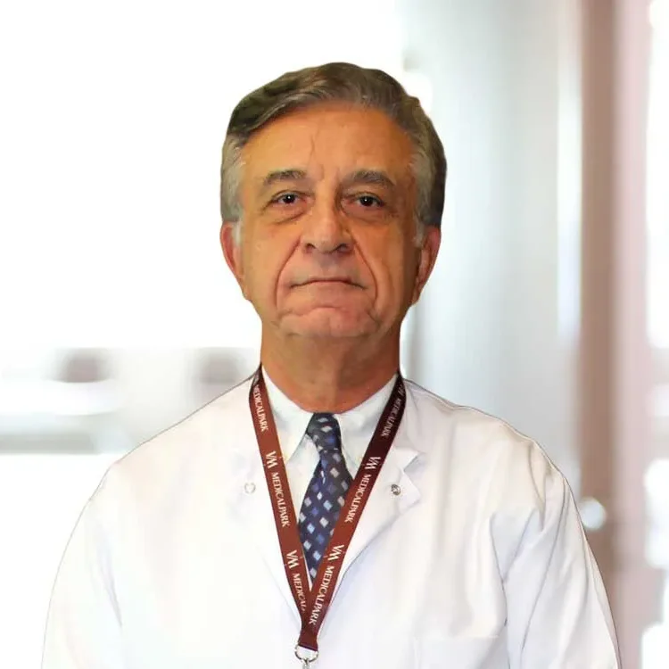 Mustafa Ateş Özyeğin