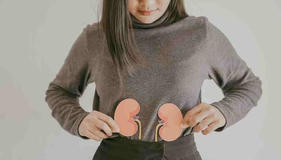böbrek sağlığı testleri, check-up böbrek testleri, kreatinin egfr, tam idrar tahlili, idrarda protein, böbrek fonksiyon testi, check-up paketleri, happ health