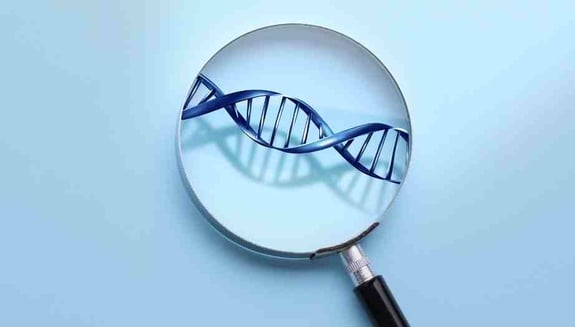 check-up, genetik hastalık riski, genetik yatkınlık, erken teşhis, kanser taraması, kalp hastalığı riski, diyabet riski, sağlık kontrolü, önleyici sağlık, happ health