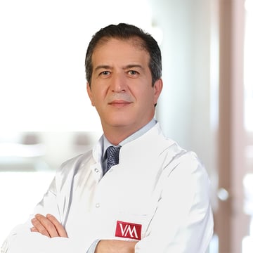 Prof.Dr. Alper Gültekin
