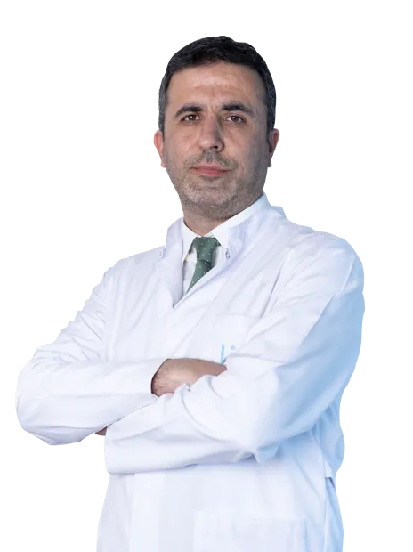 Özgür Kaya
