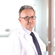 Dr.Öğr.Üyesi Okan Akkaya