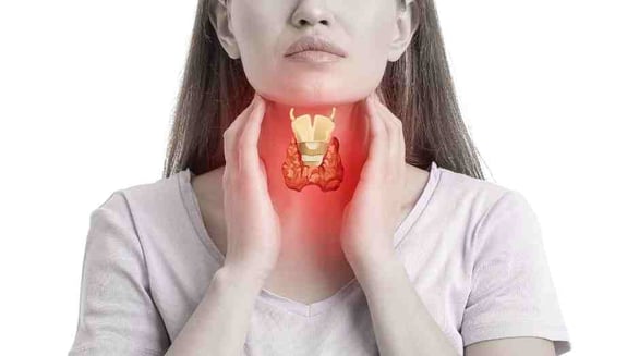 tiroid risk değerlendirme paketi, tiroid nedir, tiroid hastalıkları, tiroid belirtileri, hipotiroidi, hipertiroidi, tiroid hormonları, tsh testi, tiroid ultrasonu, tiroid check up, kadınlarda tiroid, menopoz ve tiroid, tiroid taraması, tiroid sağlığı, endokrinoloji check up, check up, happ health