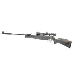 Norica Spider GRS Black .25 + Nikko Stirling 4-12x40