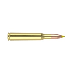 Nosler .270 Winchester 130gr Ballistic Tip 20 Rounds