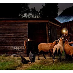 Ledlenser ML6 Lantern