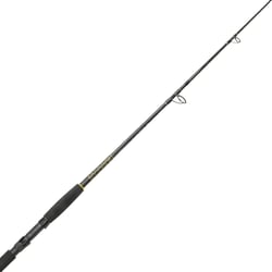 Penn Spinfisher SSM Fishing Rod