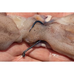 Owner 5115 Octopus Cutting Point Hook 3/0