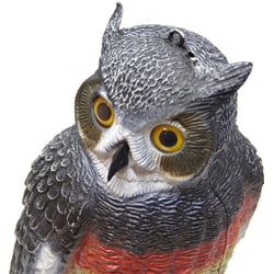 Outdoor Outfitters Large Owl Decoy for Bird Scaring and Magpie Attraction