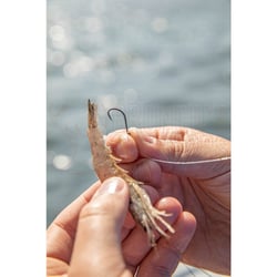 Owner Super Needle Point Octopus Hook
