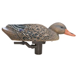 Higdon Pro Swimmer Mallard Hen