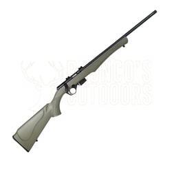 Rossi 8117 Green Stock .17 HMR