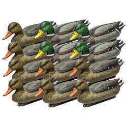 Outdoor Outfitters Mallard Family Duck Decoys 16" 12 Pack