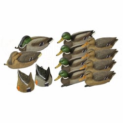Outdoor Outfitters Ultimate Mallard Decoy Family Pack 12-Pack 16"