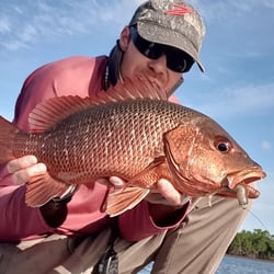 TT Lures HeadlockZ HD Jig Heads