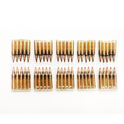ADI World Class .223 55gr Hornady SP 25 Rounds